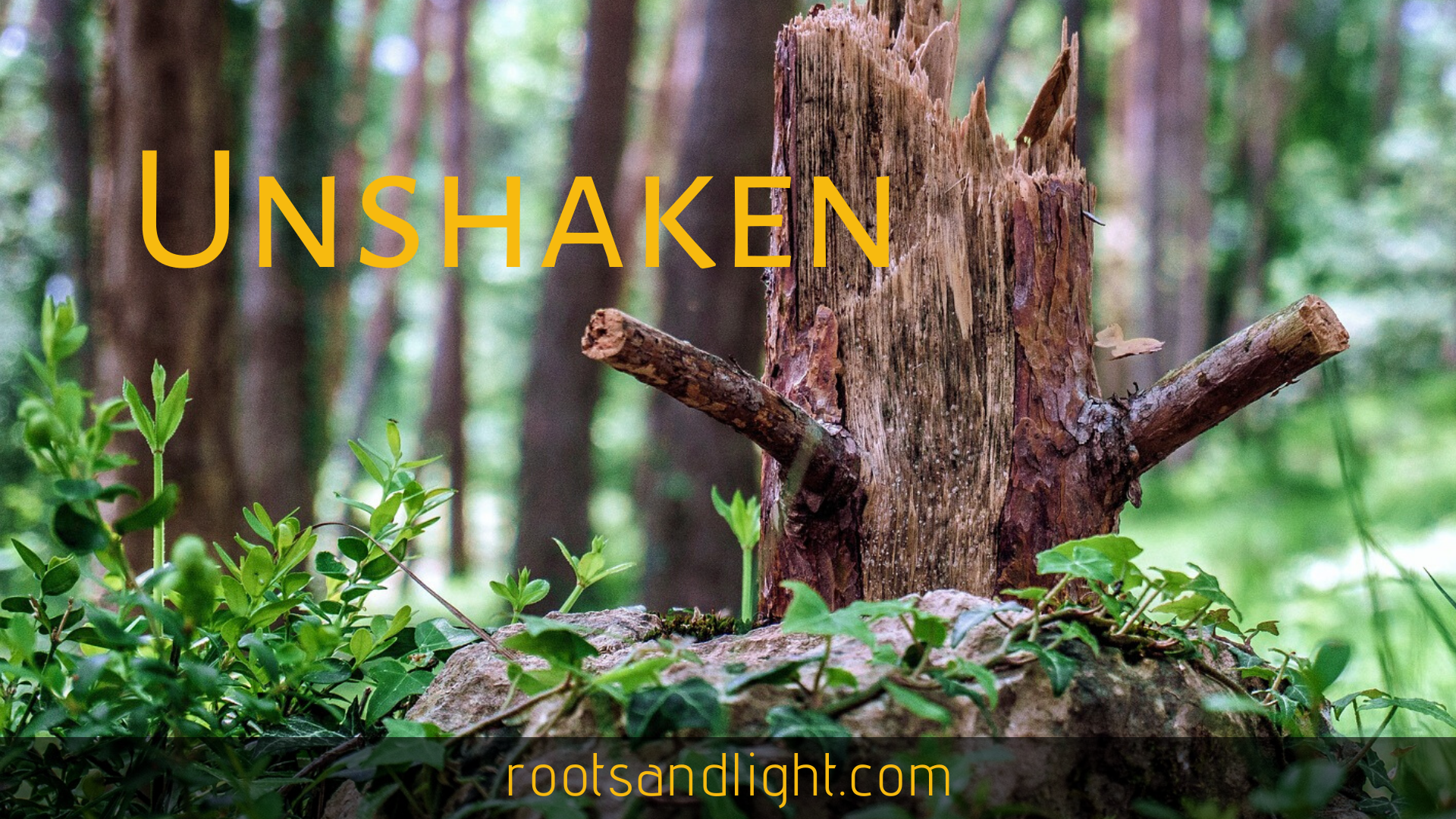 Unshaken Post Header