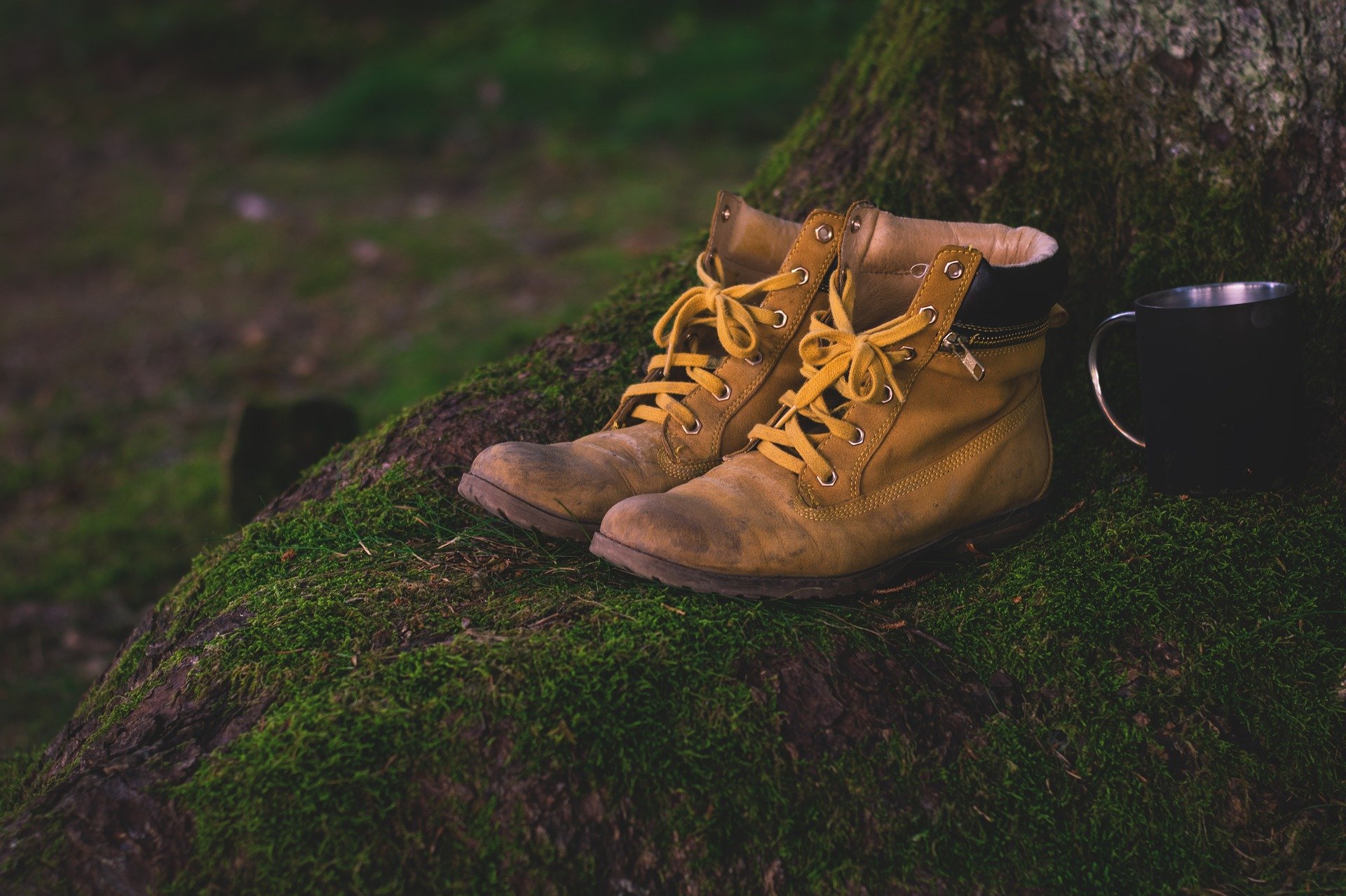 header image: worn boots sitting by a tree