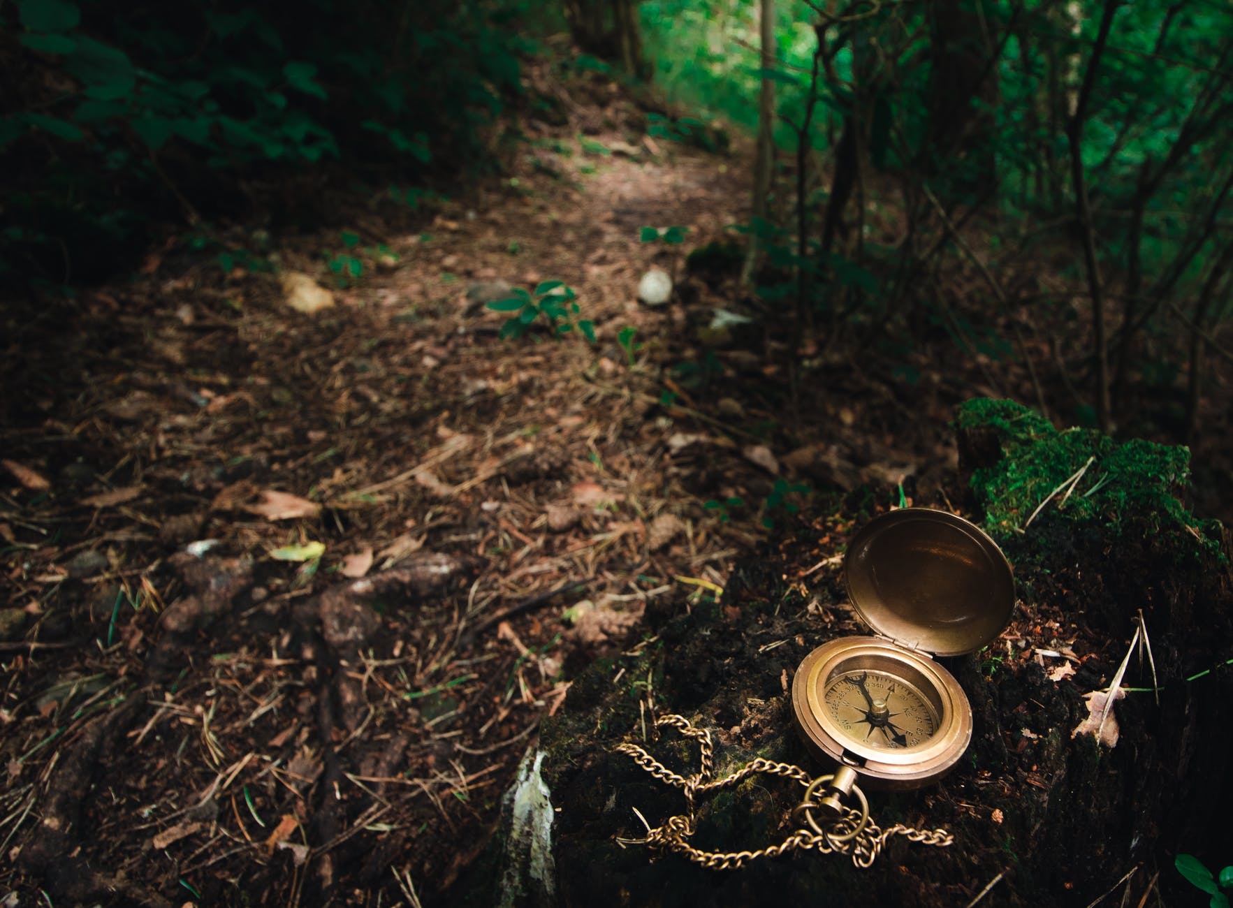 a compass used in forest