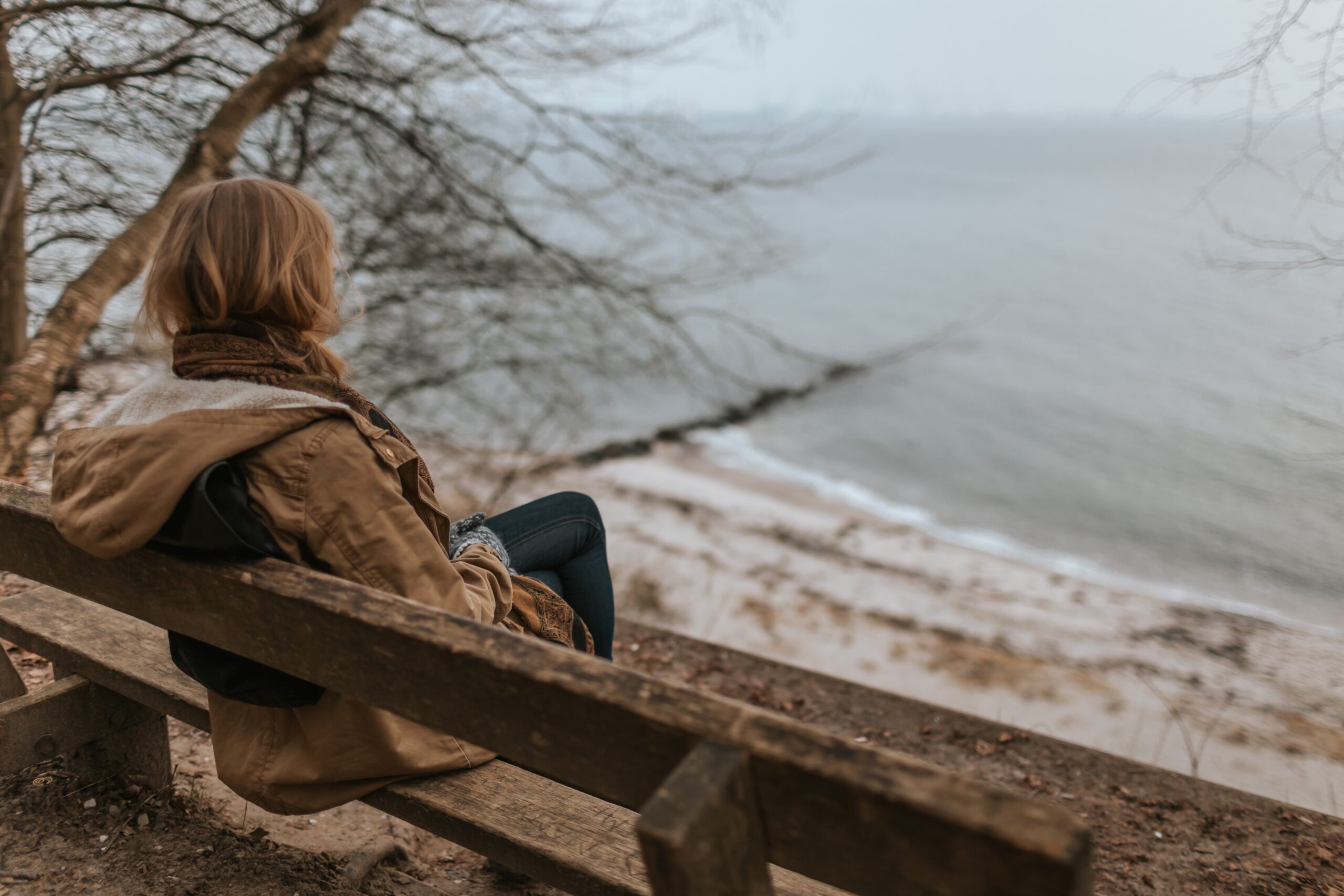 woman sitting on wooden bench next to tree looking at body of water