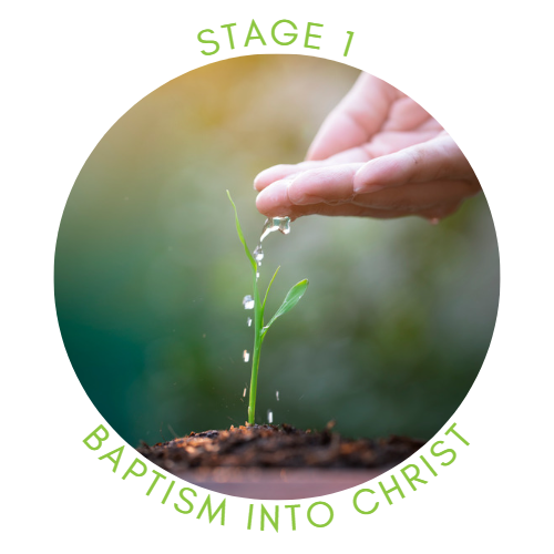 Stage 1: Baptism Into Christ